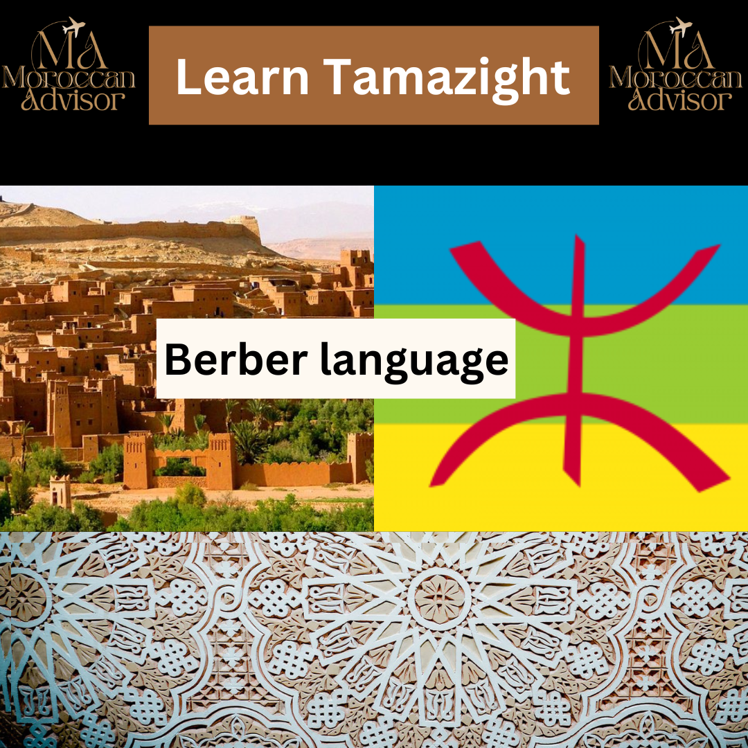  Moroccan Tamazight with native